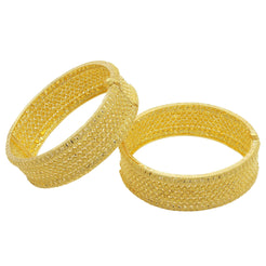 22K Gold 2 Piece Bangles